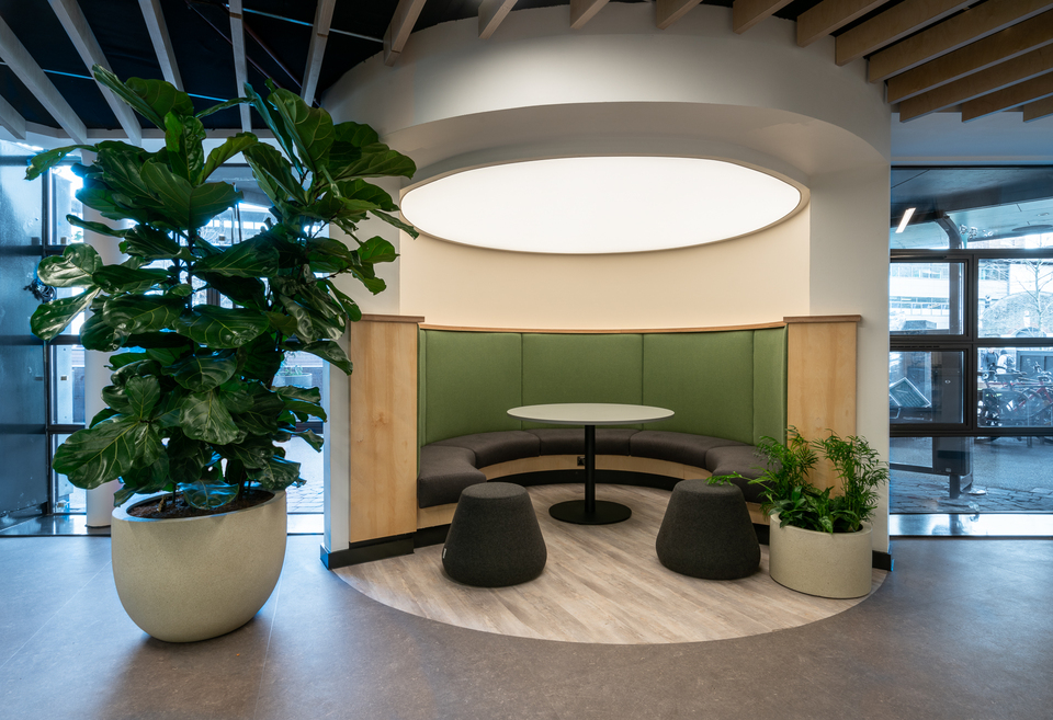 Lightboxes in meeting areas